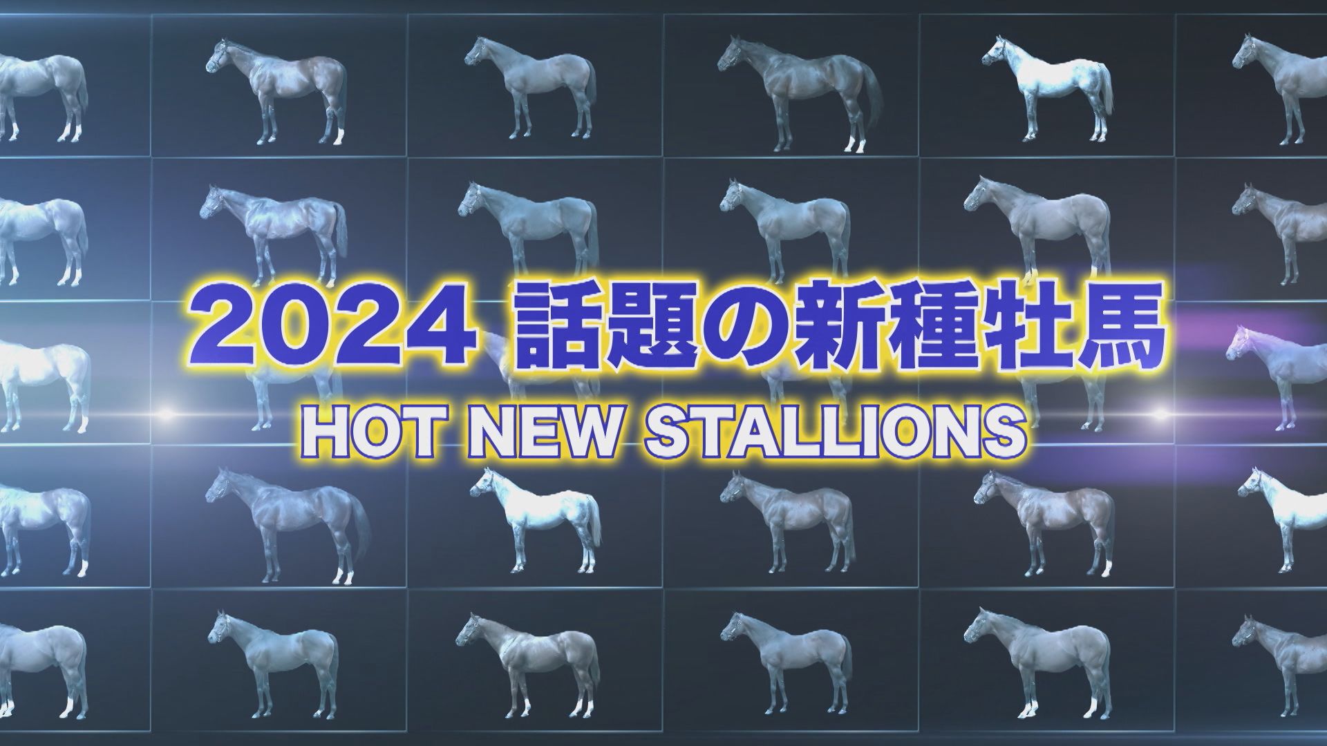2024年新種牡馬紹介　～日本調教馬編～