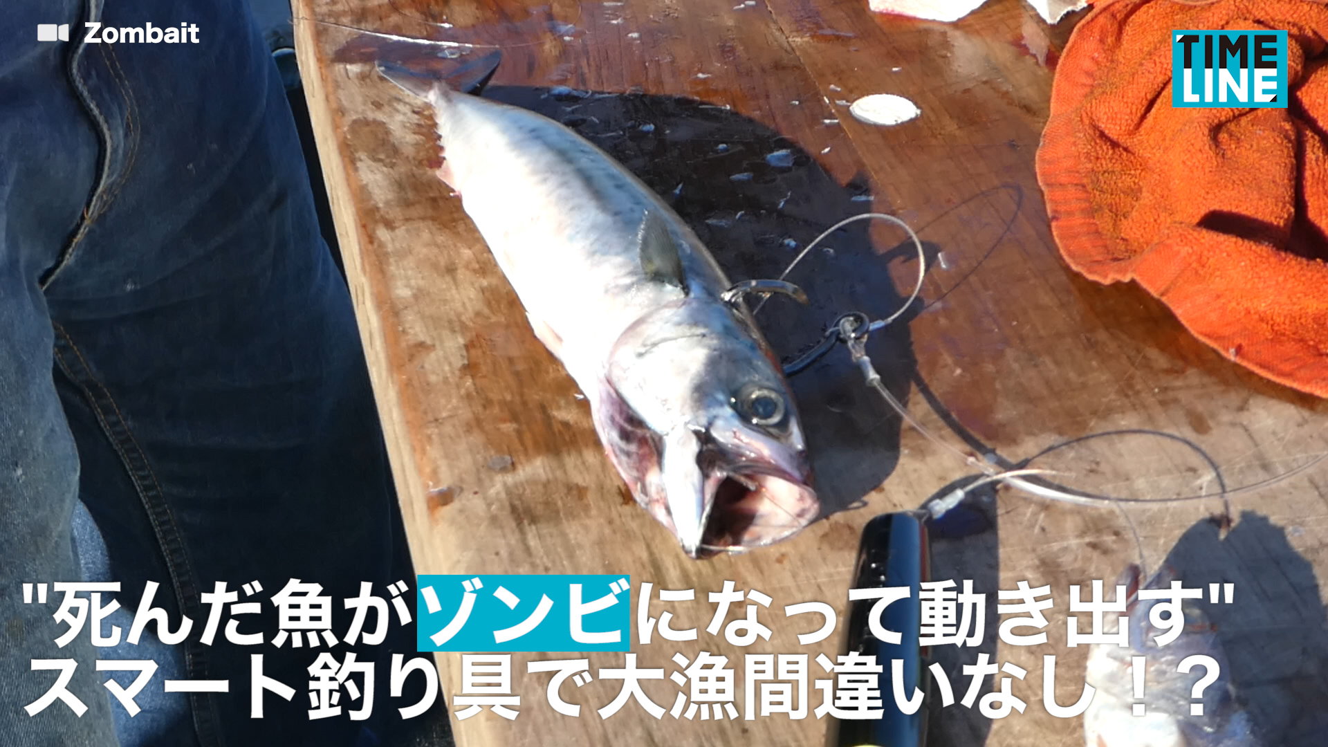 死んだ魚がゾンビになって動き出す スマート釣り具で大漁間違いなし Timeline タイムライン Yahoo Japan