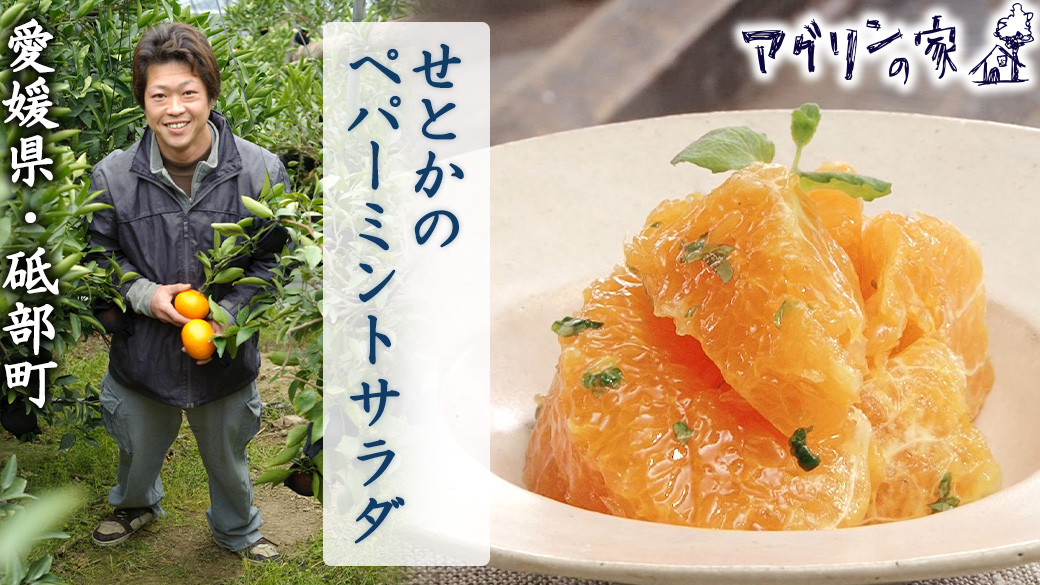きょう食べたい簡単レシピ みかんのペパーミントサラダ アグリンch Yahoo Japan