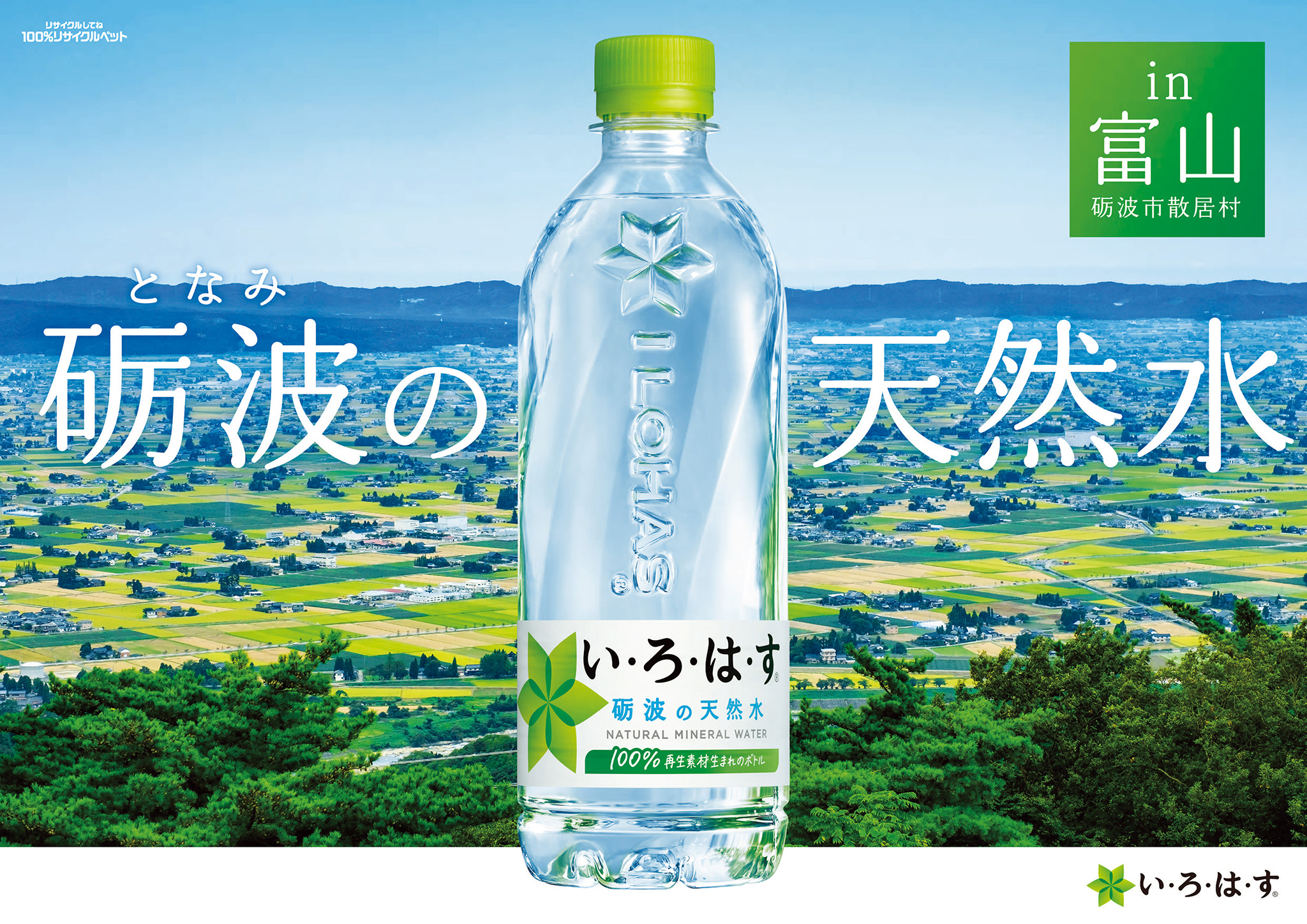 いろはいと 楽天市場】【びっくり特典あり】知育玩具 いろはタワー エド