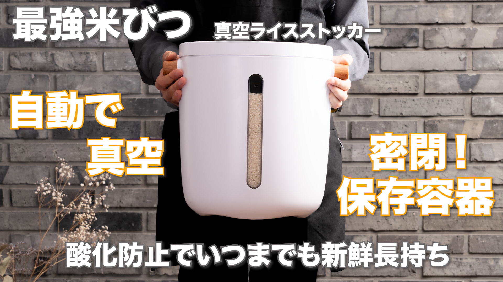 Amazon｜マリン商事 電動式 真空ライスストッカー 6kg KI-40177