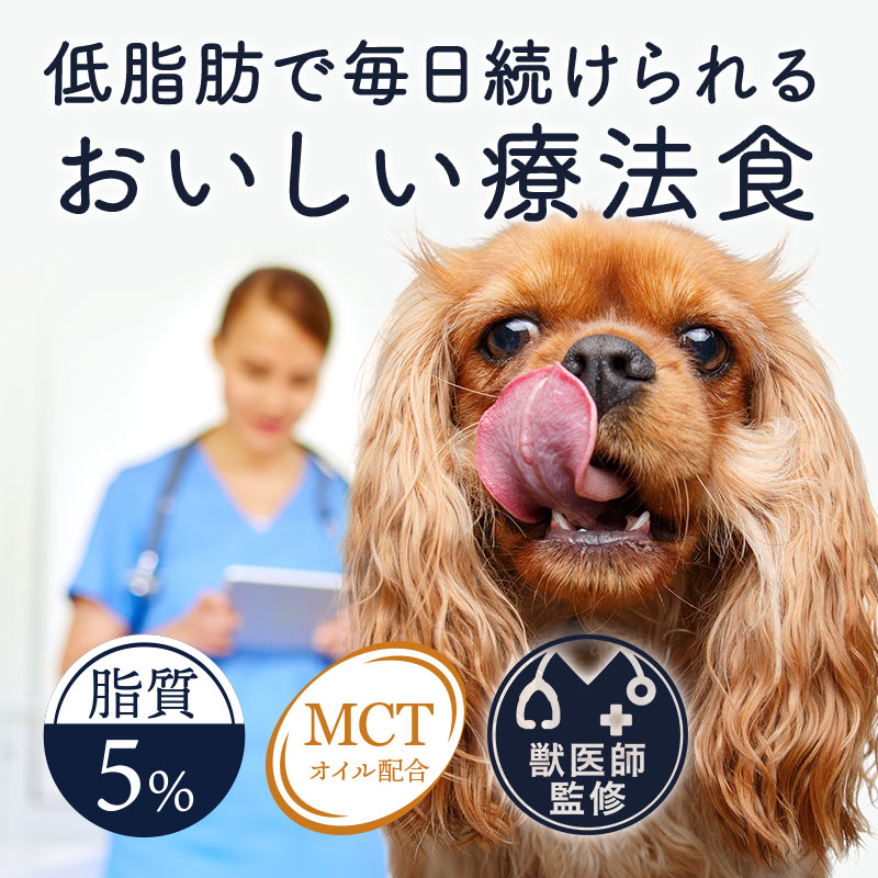 ワンちゃん食事療法 ドギーマンハヤシ わんちゃんの国産低脂肪牛乳ｽｰﾌﾟごはん ｻｻﾐと