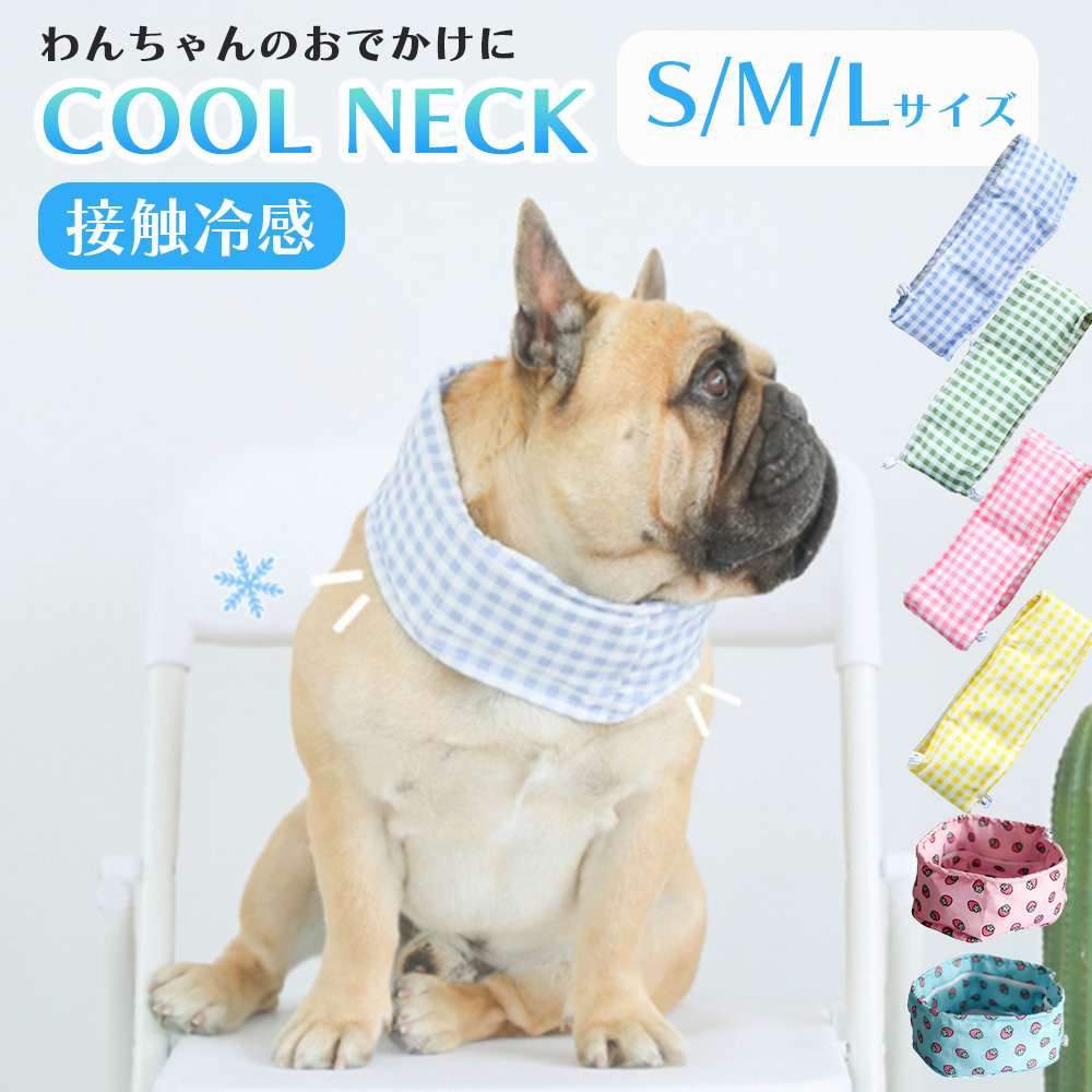 おちつくネット &  CANIN 消化器サポート 500g Amazon | ロイヤルカナン 療法食 猫 消化器サポート可溶性繊維