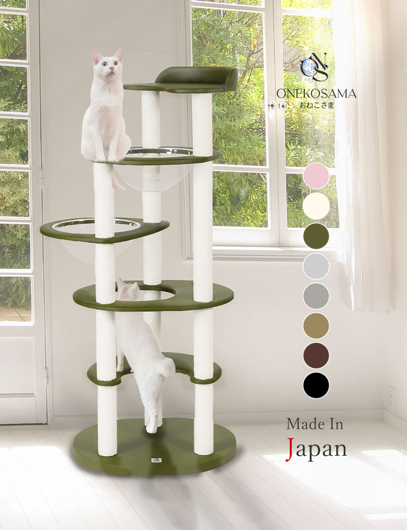 楽天市場】本日終了＼最大P12倍／ ONEKOSAMA おねこさま 猫 爪