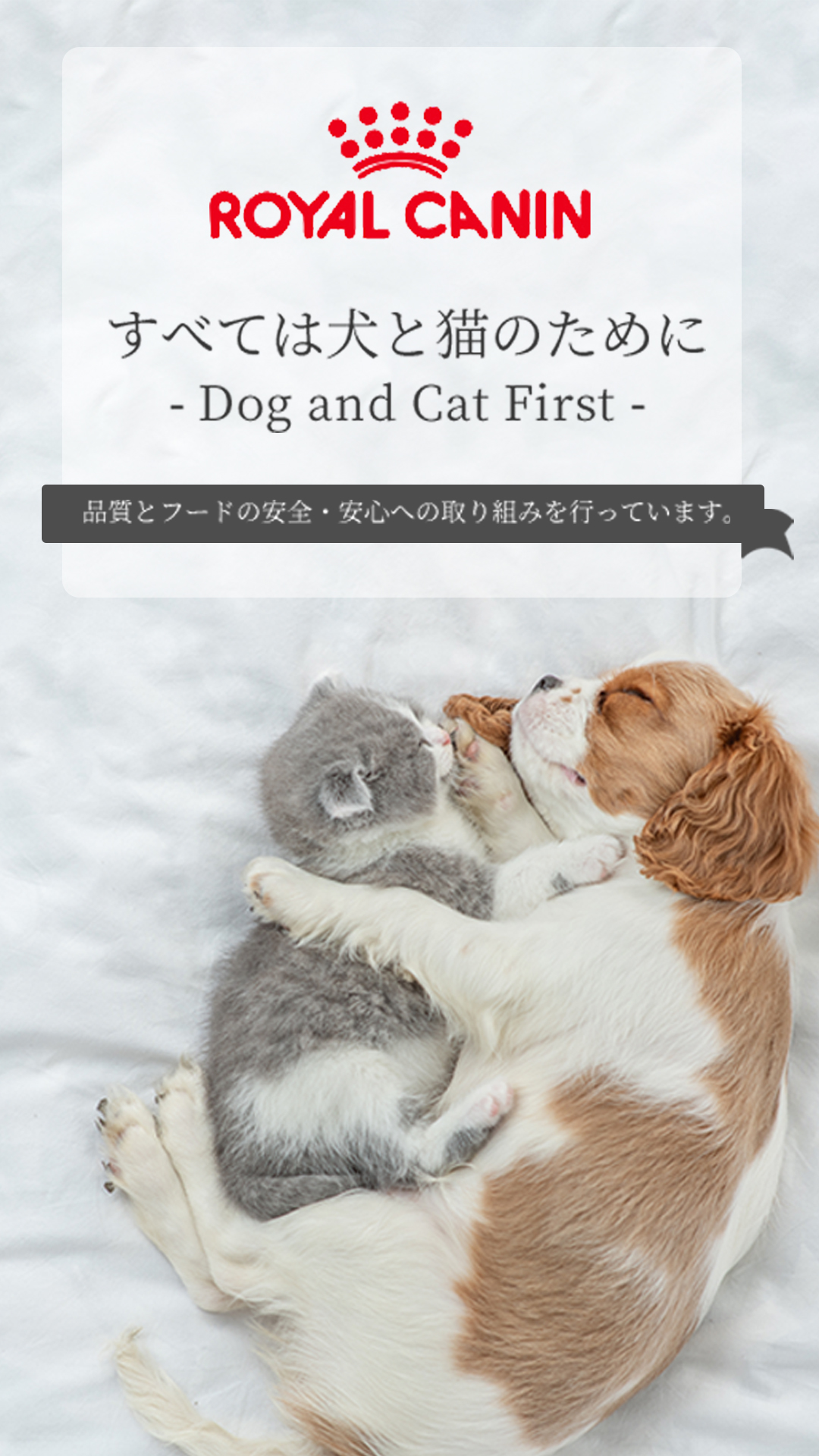 ロイヤルカナン 正規品 ロイヤルカナン 猫ドライ マザー＆ベビー