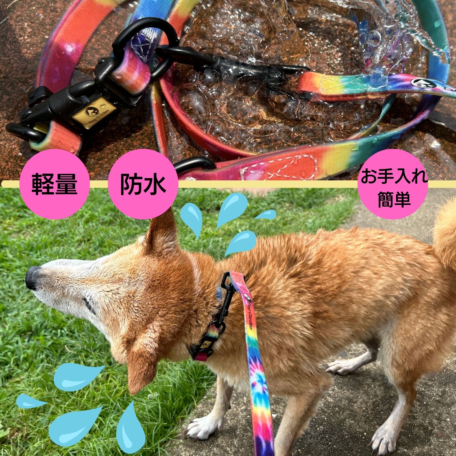 防水首輪＆リードセット【1.5cm~2.5cm幅】超小型犬〜大型犬対応