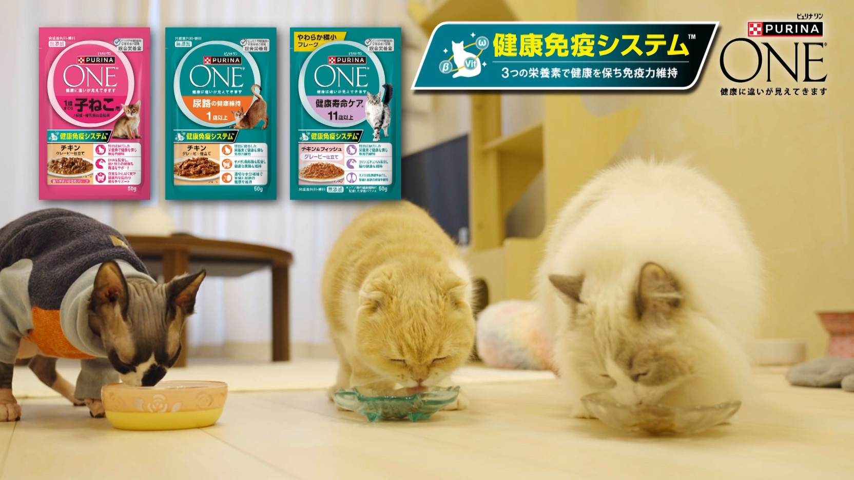 ピュリナワン 【50g×24袋】ネスレ ピュリナ ワン キャット 毛玉ケア用