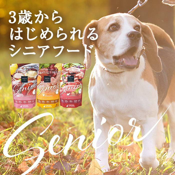 POCHI ザ・ドッグフード エイジングケア シニア ワイルドサーモン3kg3袋 POCHI POCHI（ポチ） ザ・ドッグフード エイジングケア シニア