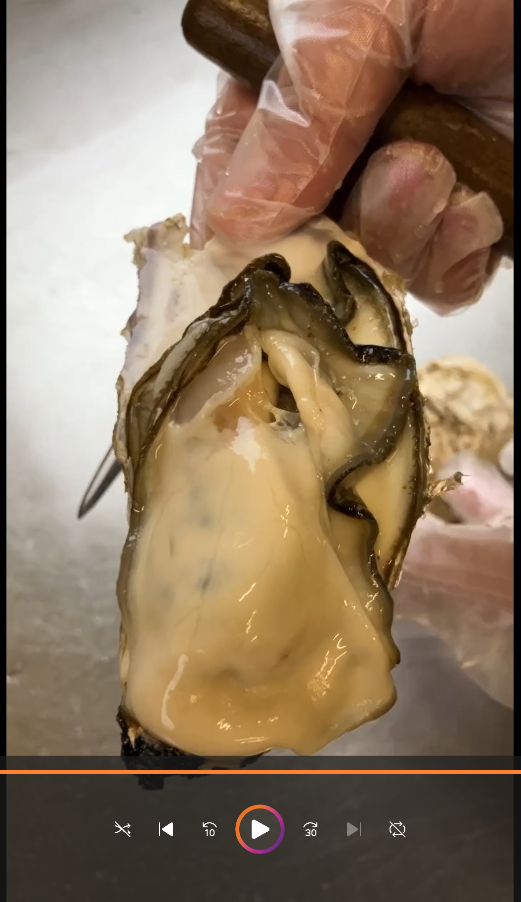 牡蠣 生食用 かき 殻付き 牡蠣 3kg 希少 新鮮 石巻 宮城 産地直送 海鮮 バーベキュー 食材 カキフライ 焼き牡蠣 貝 海の幸 秋分の日 |  | 17