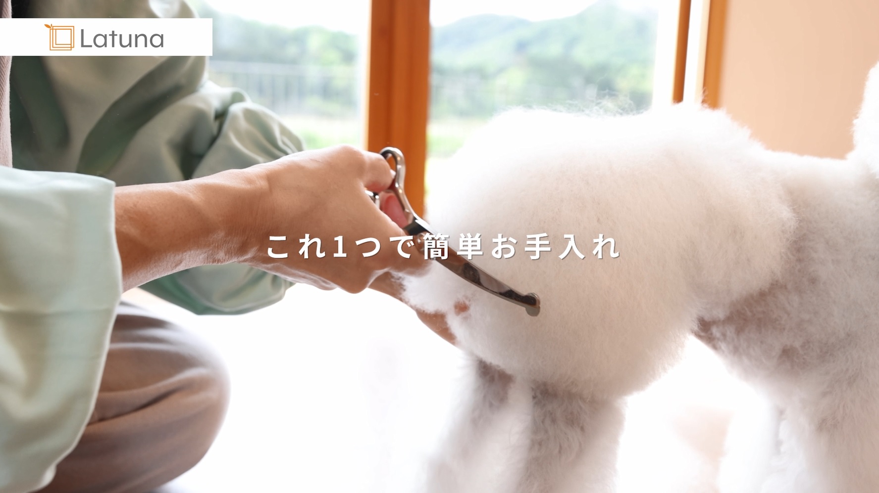 スパッと爽快に切れる理美容師プロ用シザーカットバサミ☀犬猫