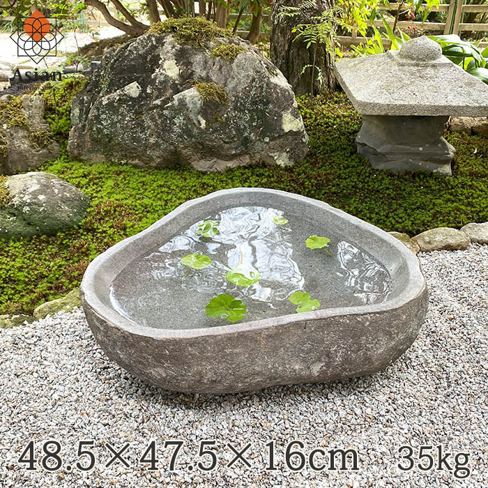 水鉢 大型 洋蓮黒 10号 睡蓮鉢 火鉢 水連鉢 和モダン ビオトープ
