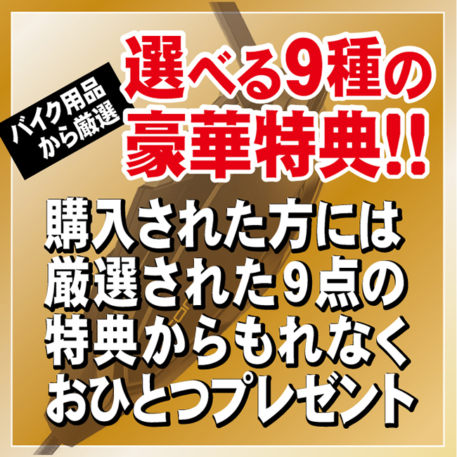 B＋COM インカムペア　White limited  パール B＋COM ビーコム SB6XR ペアユニット 限定パールホワイト 白