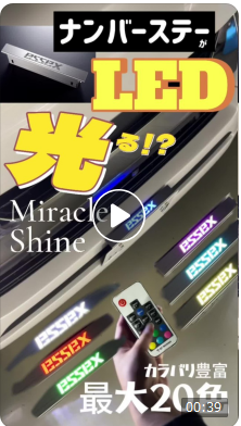 ESSEX ナンバーステー用 LEDミラクルイルミプレート□最大20色