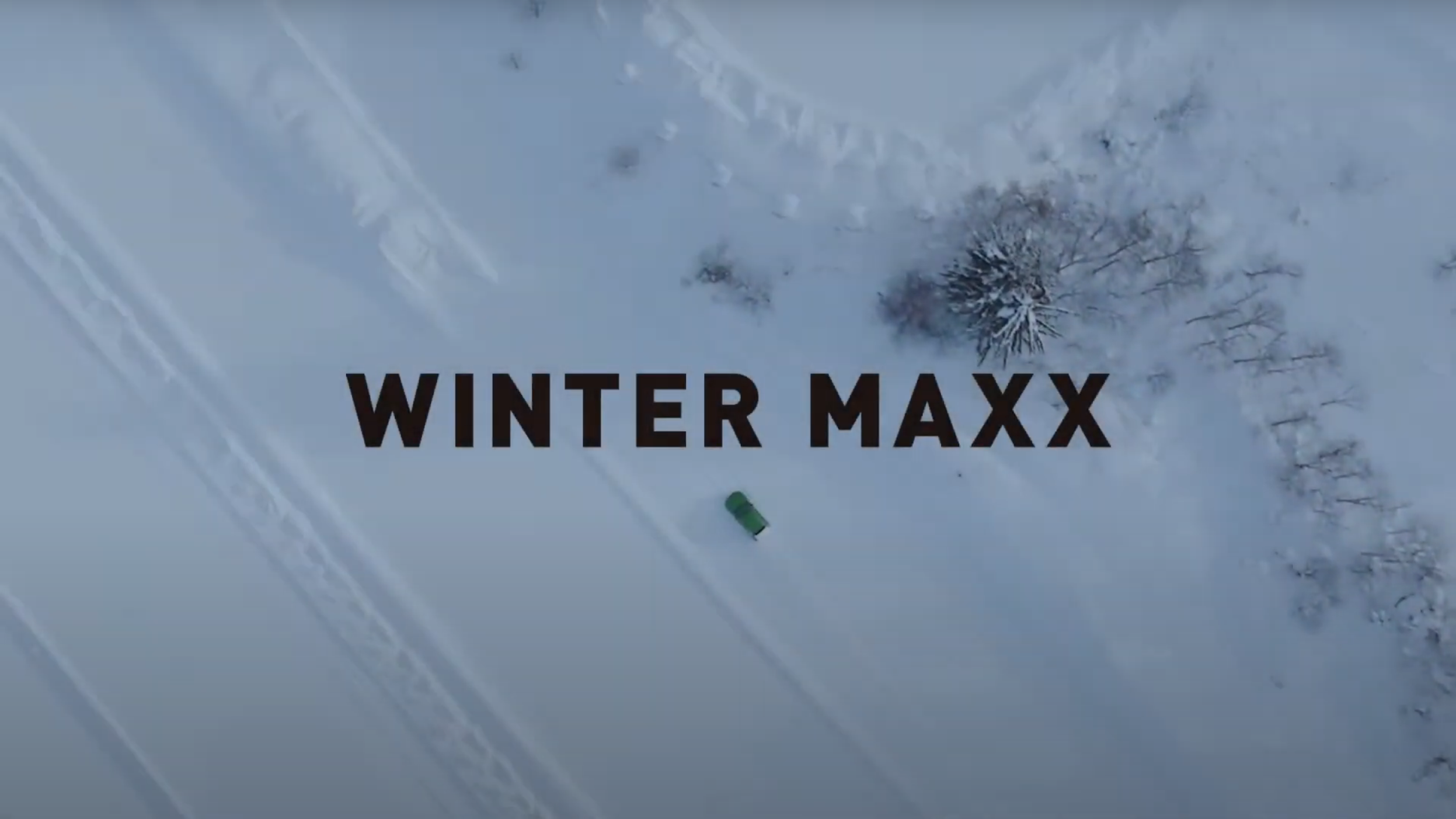 ダンロップ WINTER MAXX WM03 235/50R17 96Q スタッドレスタイヤ 2本セット | WINTER MAXX | 09