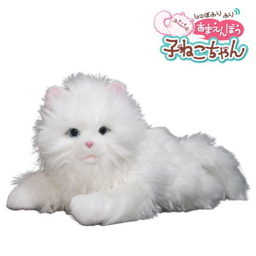 確認ページ♡猫ちゃん4匹♡フェレット10匹 フェレット - Search / X