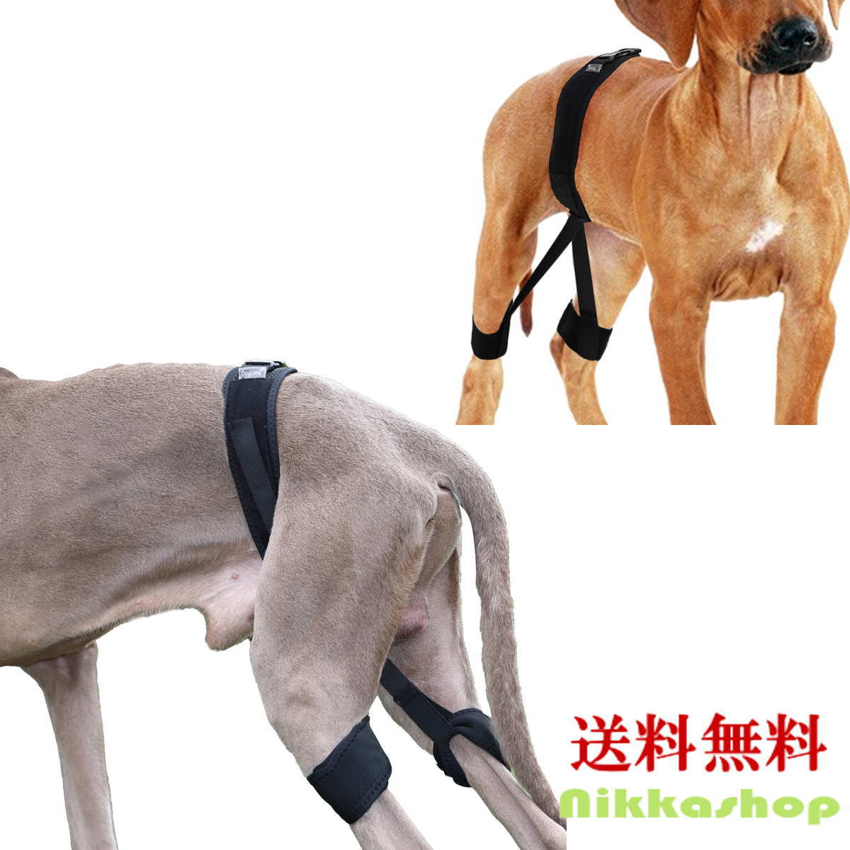 犬☆股関節サポーター 犬 サポーター 股関節 小型犬 中型犬 大型犬 股関節サポーター