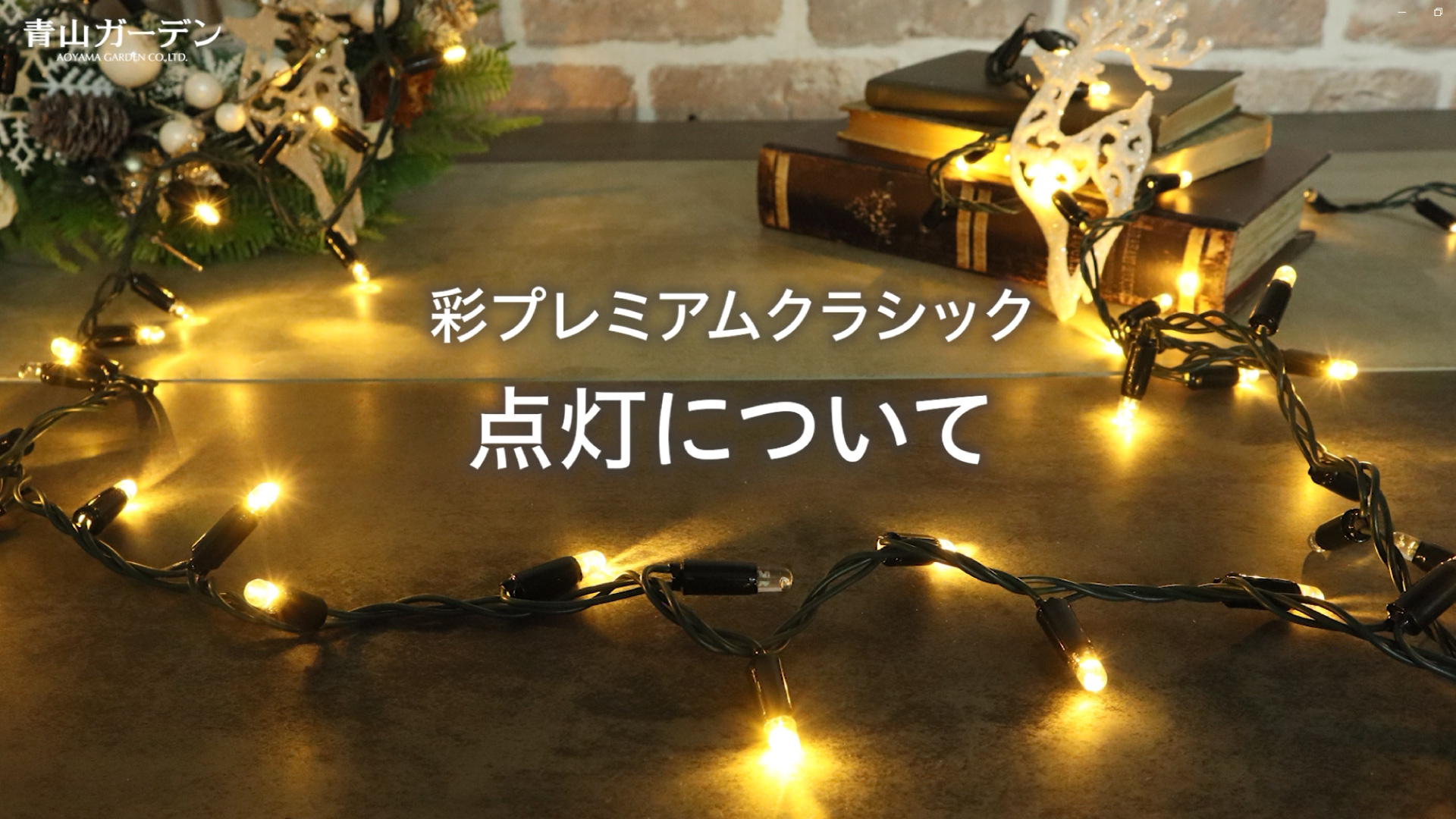 タカショー イルミ 屋外 led おしゃれ クリスマス タカショー / 彩