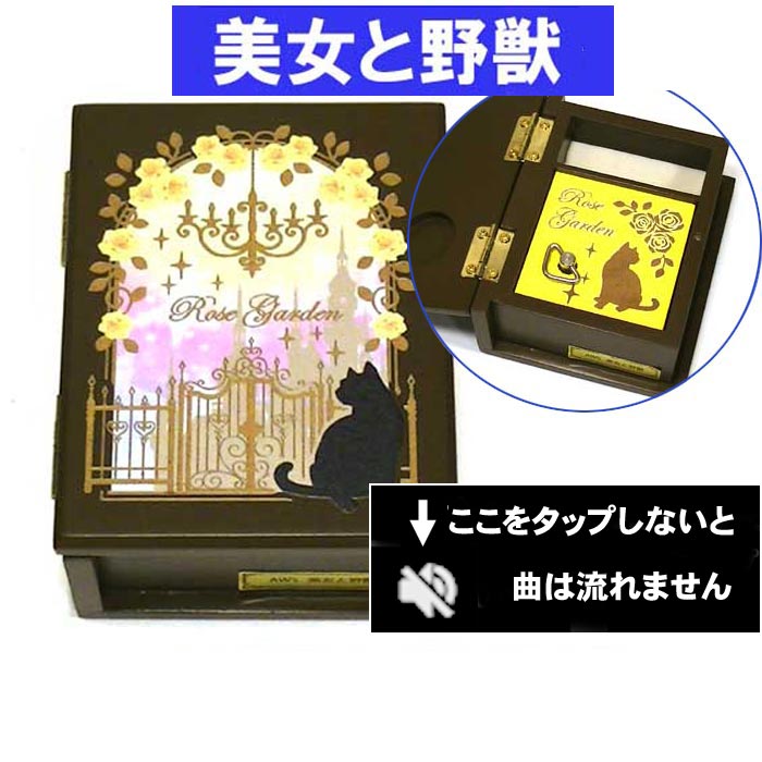 Disneyのオルゴール付きジュエリーボックス 小物入れ - メルカリ