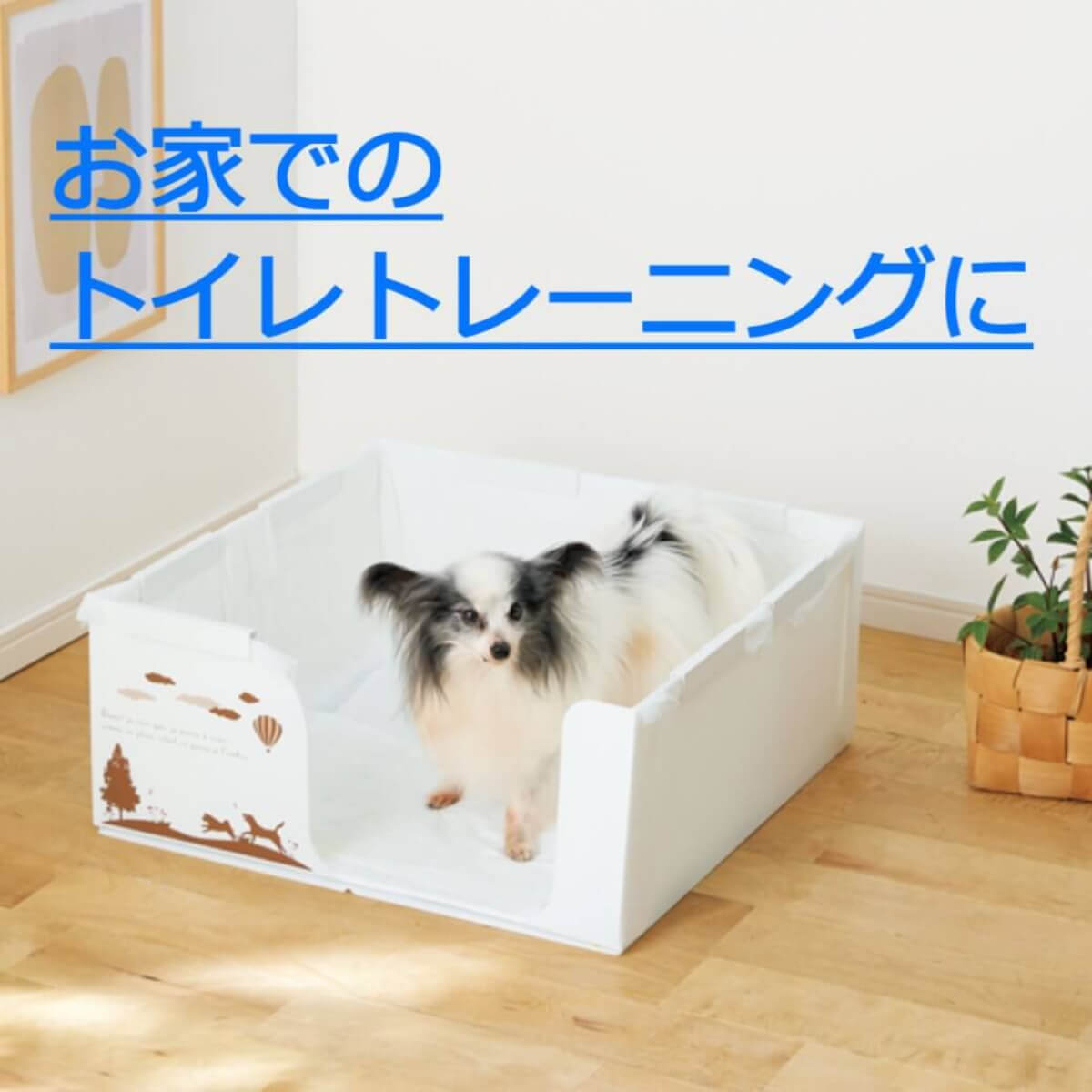 はみだし飛び散りを防ぐ囲い付きトイレ 60cm角 小型犬 中型犬