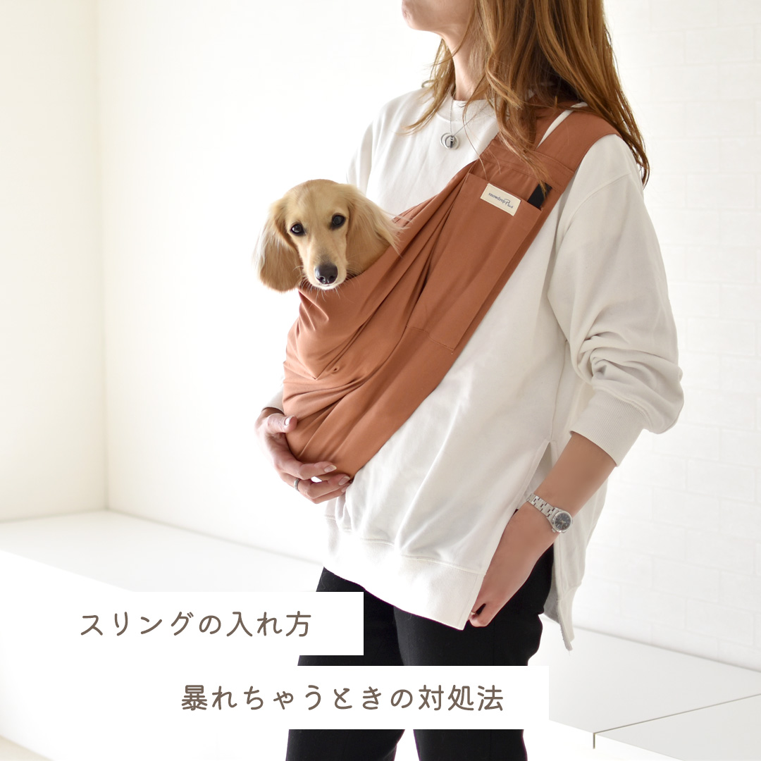 yvpubthum12604322-