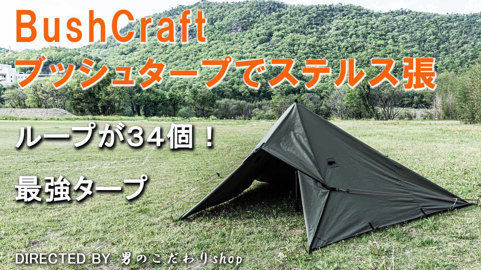 yvpubthum13626593-