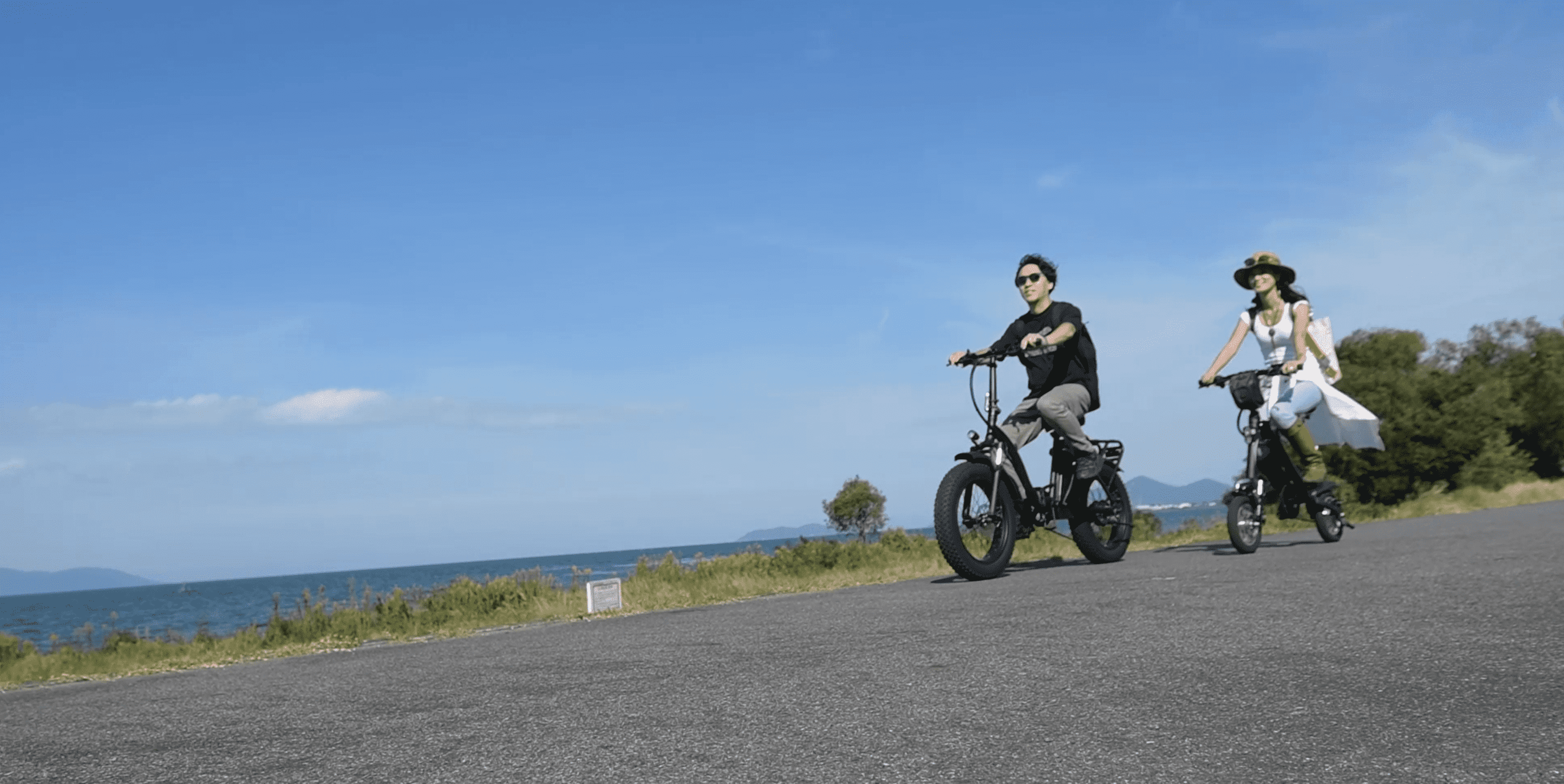 折りたたみ電動アシスト自転車 FAT-01 正規販売店 ファットバイク 20インチ ブラック ガンメタ カーキ マット 艶 前かご スマホホルダー 極太タイヤ 爆買 |  | 21