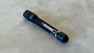 Hapyson ハピソン×津本式 アニサキスライト YF-980 寄生虫発見