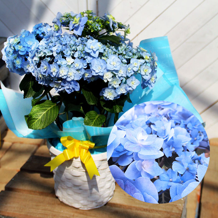 yvpubthum14116928-
