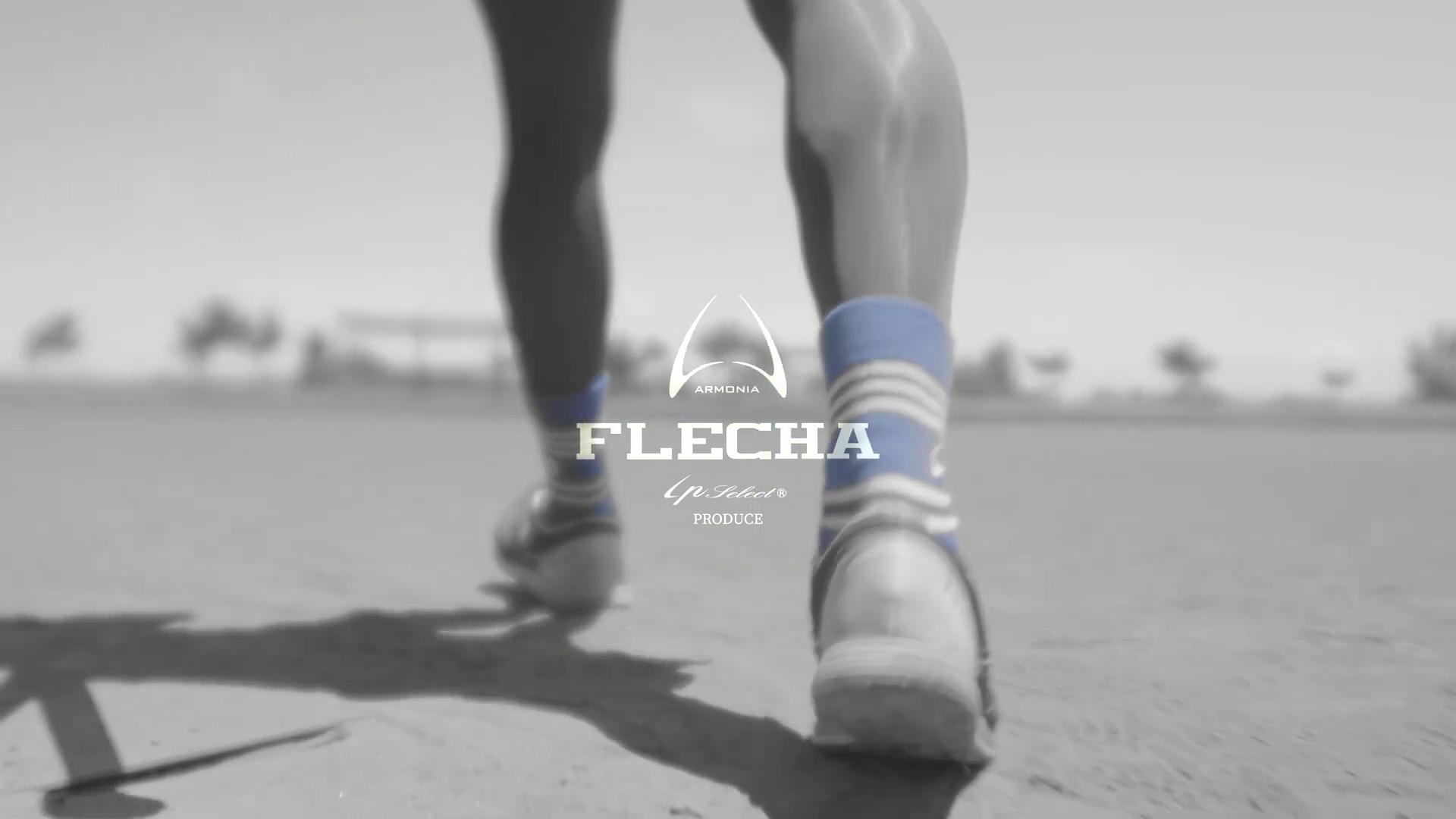 アイピーセレクト トレーニング用品 フレーチャ FLECHA 野球