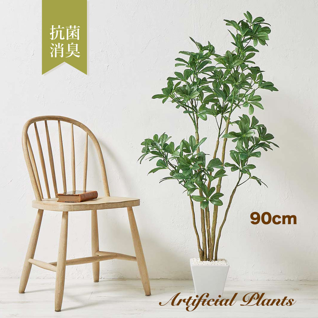 yvpubthum15715463-