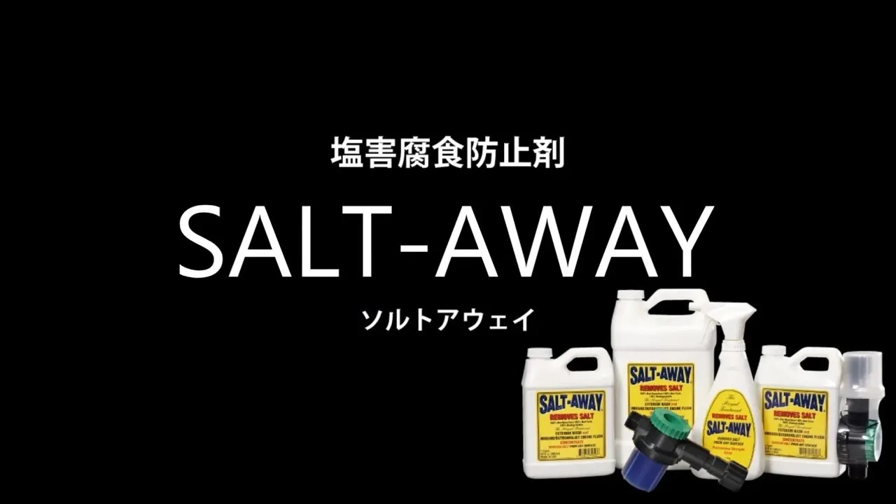 ソルトアウェイ エンジンフラッシングパッケージ 946ml YAMAHA用