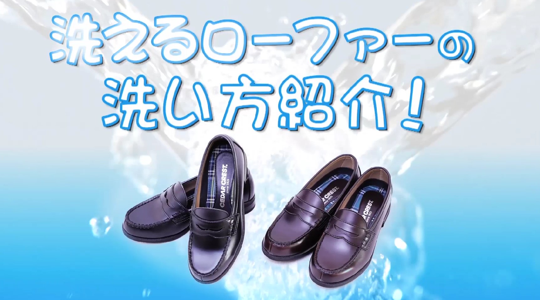 楽天市場】【10％OFFクーポン】セダークレスト ウォッシャブル