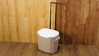 Coleman コールマン（Coleman） ホイールクーラー28QT スカイ