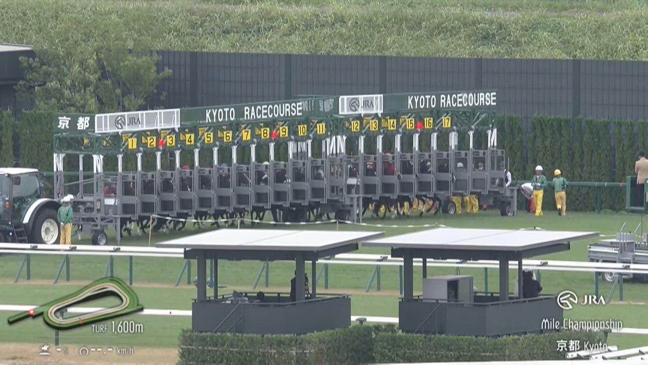 【2024　GⅠ　マイルチャンピオンシップ】　秋のマイル王はどの馬だ！？　11/17 (日)　京都競馬場