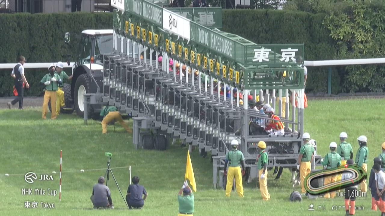 【2025　NHKマイルカップ　GⅠ】　3歳マイル王はどの馬だ？？　5/11(日)　東京競馬場