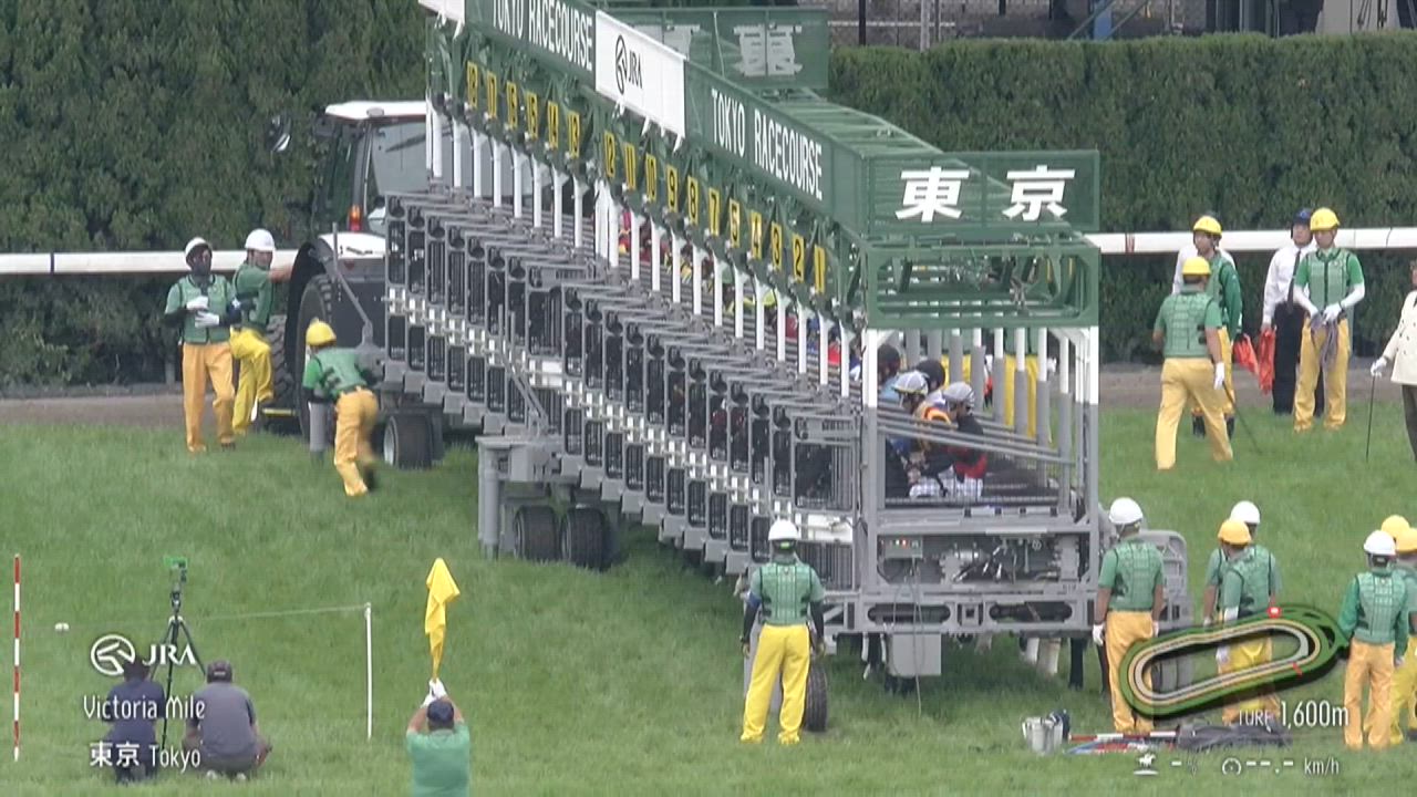 【2025　ヴィクトリアマイル　ＧⅠ】　古馬マイル女王はどの馬だ！？　5/18 (日)　東京競馬場