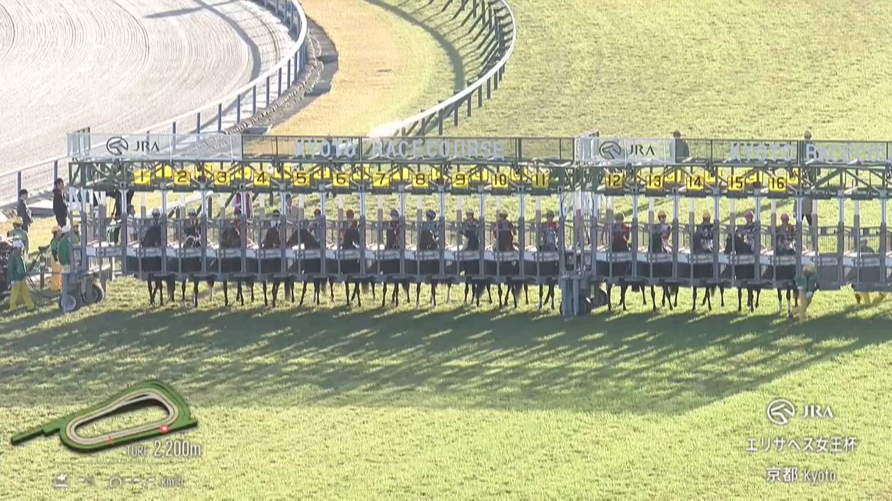 【2025　GⅠ　エリザベス女王杯】　女王の座を手にするのはどの馬か！？　11/16 (日)　京都競馬場