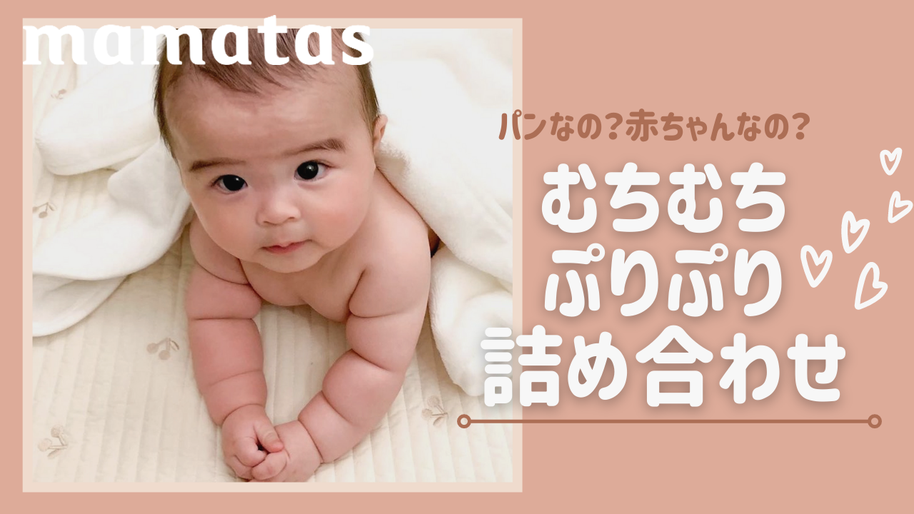 パンなの 赤ちゃんなの むちむちぷりぷり詰め合わせ Mamatas ママタス Yahoo Japan