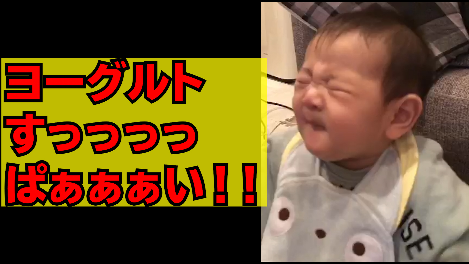 赤ちゃんが離乳食で初めてヨーグルト食べたらめちゃくちゃ酸っぱくて顔がグシャッてなって悶絶しまくるけど最後はなぜか笑顔で美味しかった Videocash ビデオキャッシュ Yahoo Japan