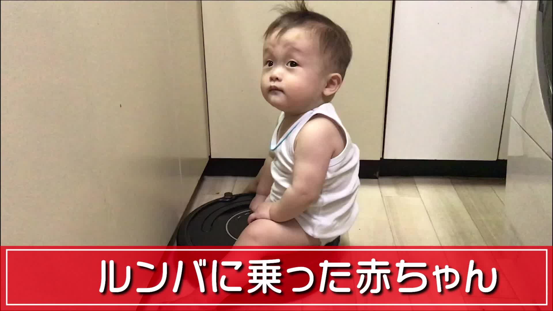 ルンバに乗った赤ちゃん Videocash ビデオキャッシュ Yahoo Japan