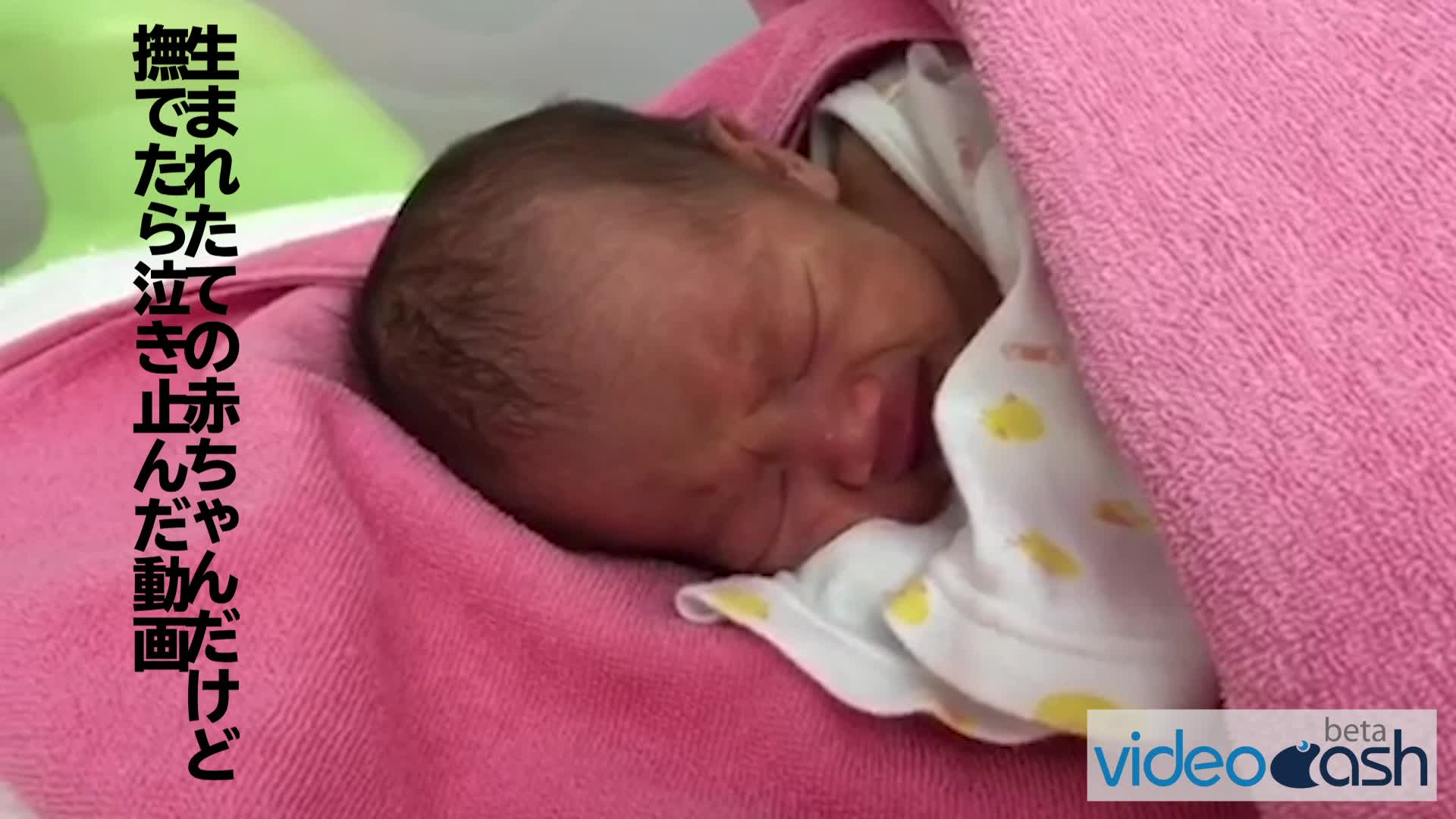 生まれたの赤ちゃんが泣いていましたが、撫でたら泣き止んだ動画。 VideoCash/ビデオキャッシュ Yahoo! JAPAN