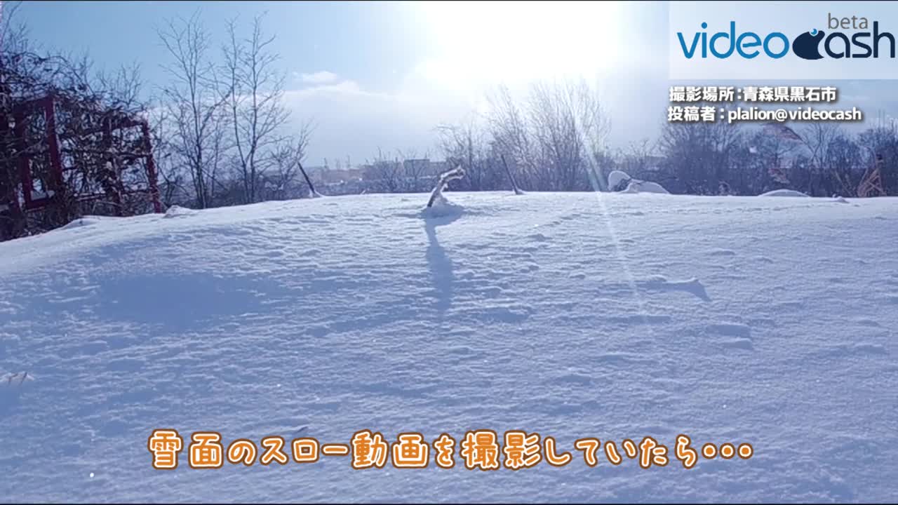 神秘的 雪の中を羽ばたきながら飛んでいく雪の妖精 Snow Fairy のような映像を捉えました Videocash ビデオキャッシュ Yahoo Japan