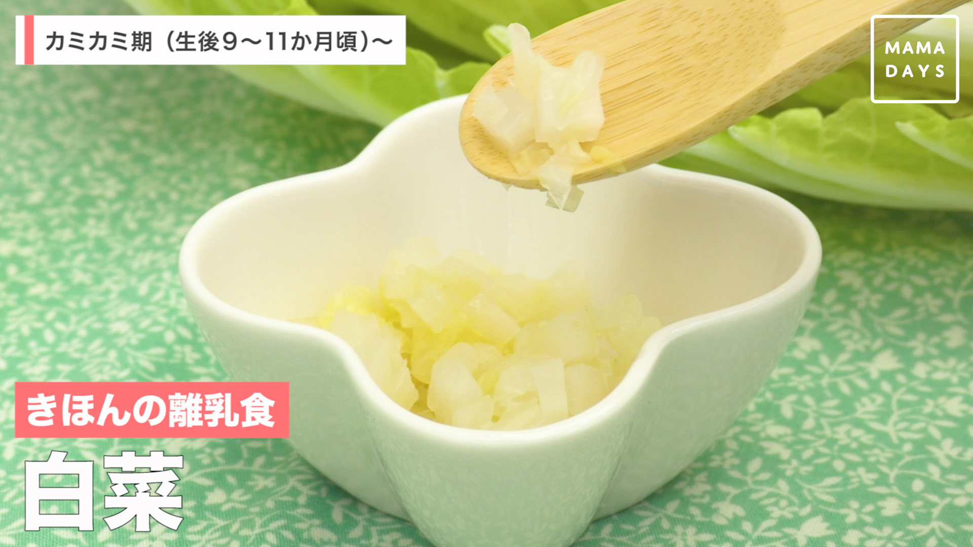 きほんの離乳食 白菜 Mamadays ママデイズ Yahoo Japan