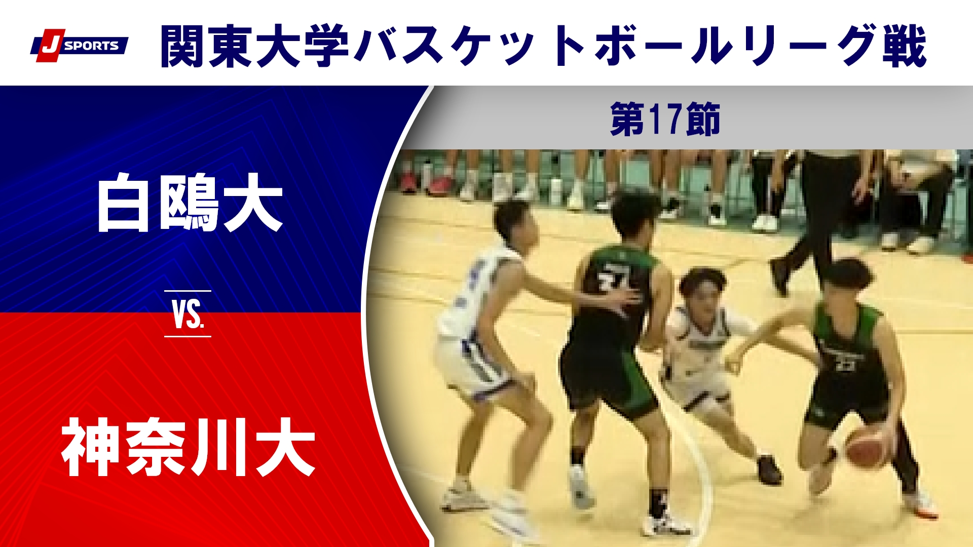 【ハイライト】白鴎大 vs. 神奈川大｜第100回 関東大学バスケットボールリーグ戦 第17節 #basketball