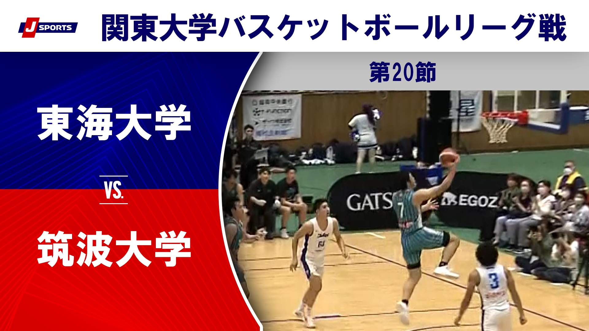 【ハイライト】東海大 vs. 筑波大｜第100回 関東大学バスケットボールリーグ戦 第20節 #basketball