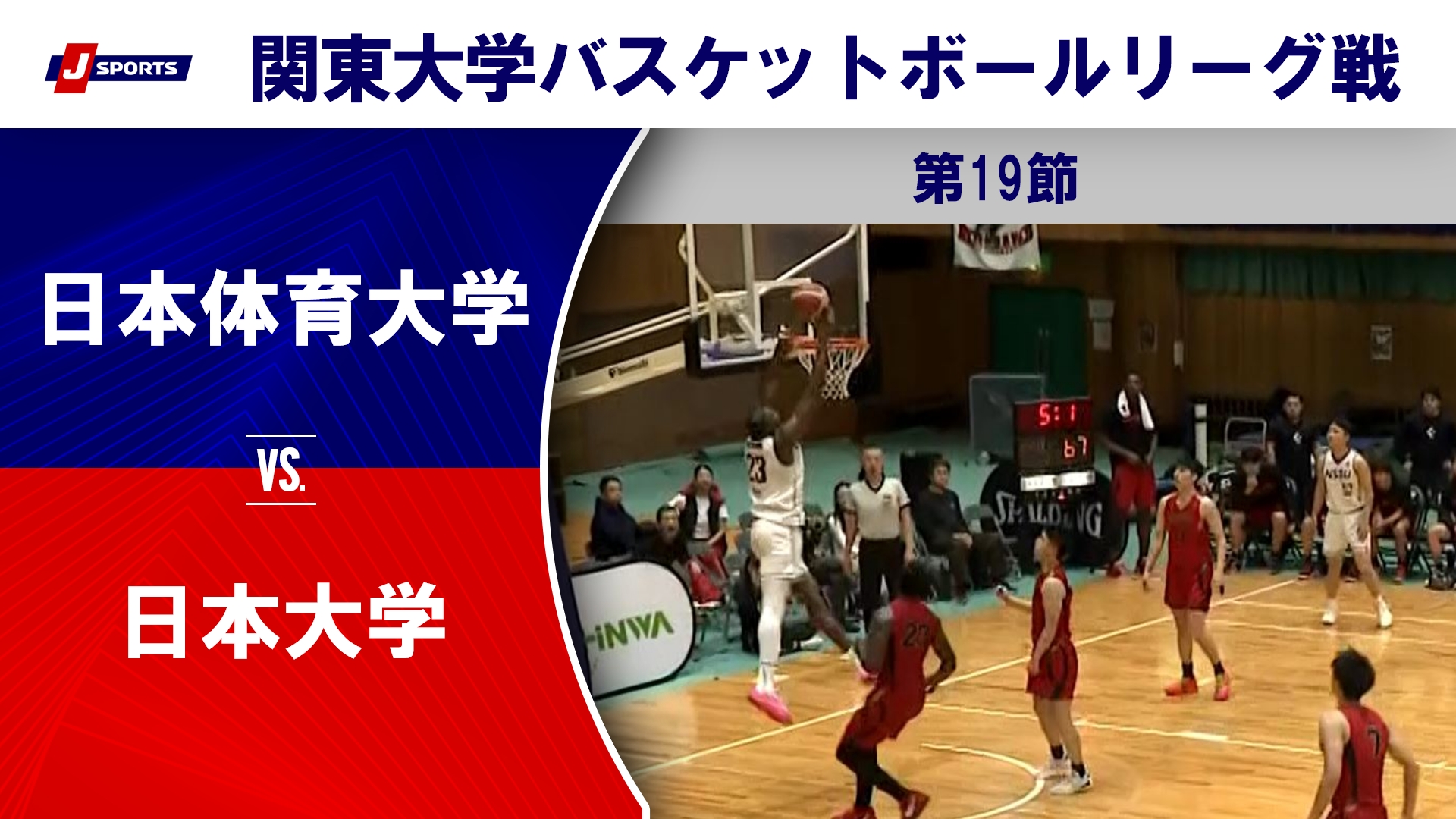 【ハイライト】日本体育大 vs. 日本大｜第100回 関東大学バスケットボールリーグ戦 第19節 #basketball