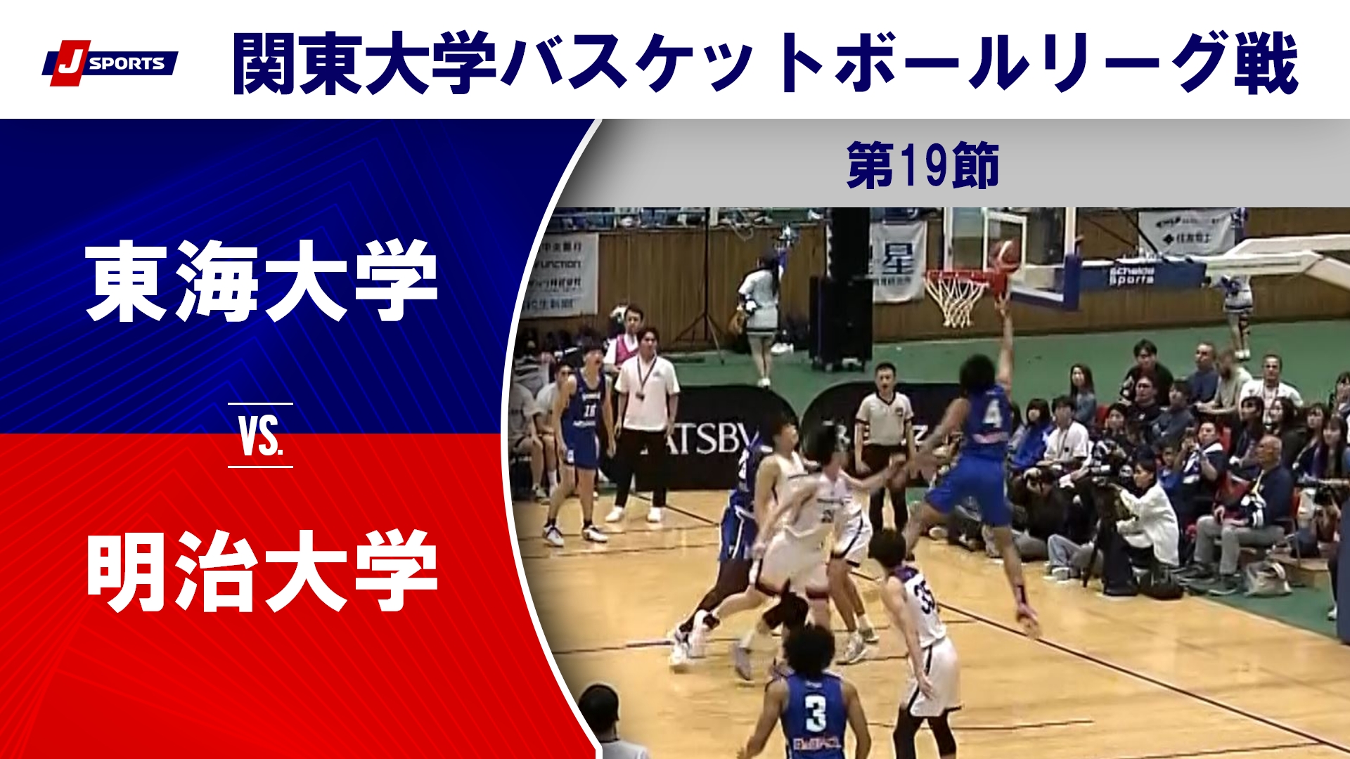 【ハイライト】東海大 vs. 明治大｜第100回 関東大学バスケットボールリーグ戦 第19節 #basketball