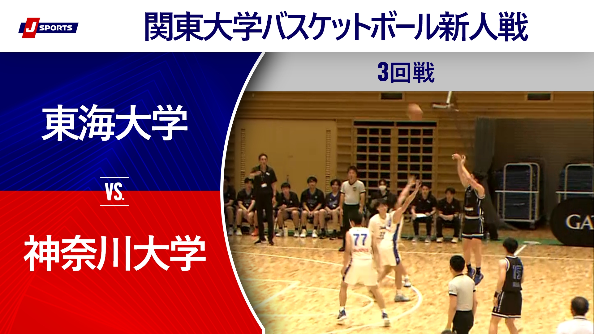 【ハイライト】東海大学 vs. 神奈川大学｜第64回 関東大学バスケットボール新人戦 3回戦（06_05）#basketball