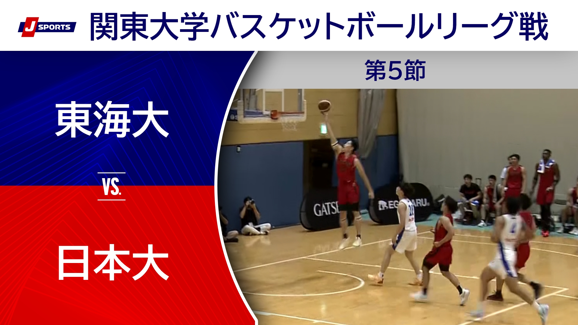 【ハイライト】東海大 vs. 日本大｜第100回 関東大学バスケットボールリーグ戦 第5節 #basketball