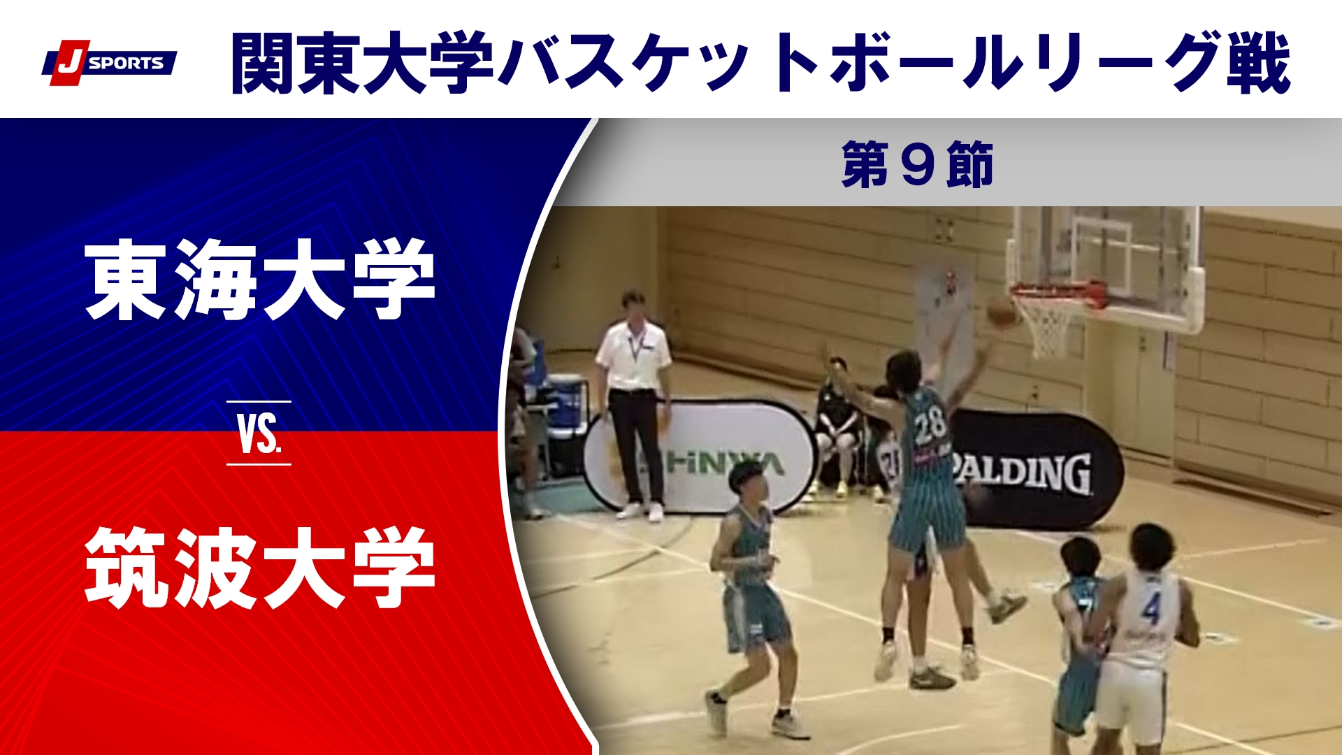 【ハイライト】東海大 vs. 筑波大｜第100回 関東大学バスケットボールリーグ戦 第9節 #basketball